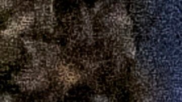 Un hombre sin hogar duerme en una acera del Parque McArthur en Los Ángeles.