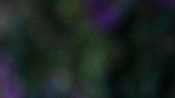 ONU pide reconocer y combatir la prostitución como sistema de violencia contra las mujeres y las niñas