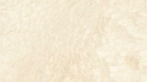 Céline Dion insiste en que espera regresar pronto a los escenarios