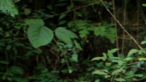 Cascada más alta china se ayuda de tubería, descubre turista