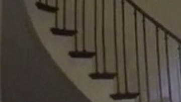 En 2022, el canadiense canadiense David DePape ingresó a la residencia de Nancy Pelosi y, al no encontrarla, agredió severamente a su esposo