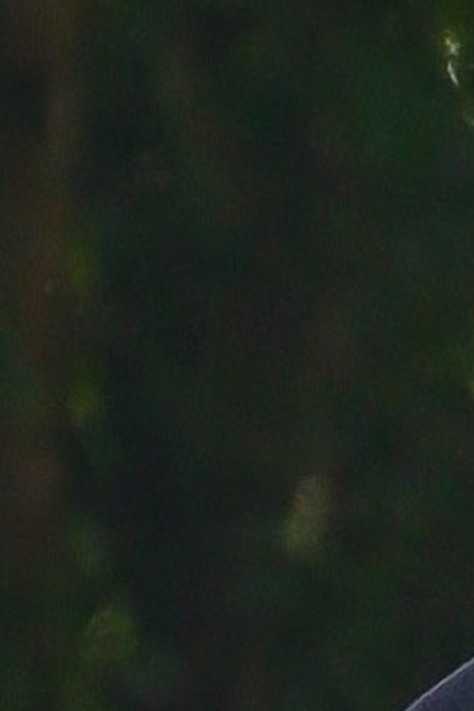 Photo © 2024 Backgrid/The Grosby Group 

*PREMIUM EXCLUSIVE* 
New York, June 20, 2024. 
Suri Cruise was seen for the first time with her boyfriend, Toby Cohen sharing kisses and hugs during a romantic outing in Central Park. 
*** 
Suri Cruise fue vista por primera vez con su novio, Toby Cohen compartiendo besos y abrazos durante una salida romántica en Central Park.