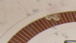 Call of Duty Black Ops 6