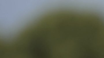 El presidente Biden vino a Los Ángeles a recaudar fondos. (AP Photo/Alex Brandon)