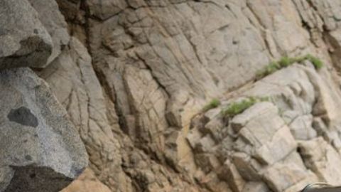 Cupra Formentor 2024 rendimiento con nueva mecánica Mild Hybrid