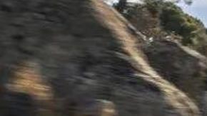 Descubre la potencia del nuevo Audi RS Q8 2025