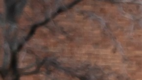 Retiran del mercado productos comestibles Diamond Shruumz