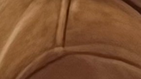 Piden mantenerse alerta ante promesas falsas con las nuevas órdenes ejecutivas de Biden.