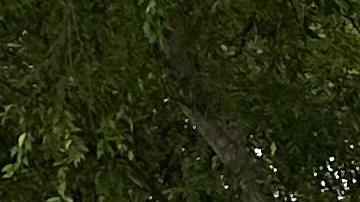 Asistentes a la feria del orgullo en  West Hollywood posan en el mural contra el odio.