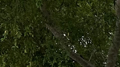 Asistentes a la feria del orgullo en  West Hollywood posan en el mural contra el odio.