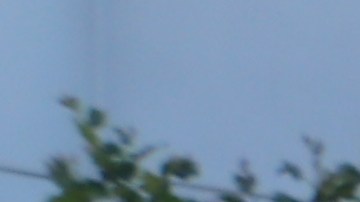 Lizeth Gallegos-Morán, de 22 años, una estudiante DACA desde 2016 marcha junto con sus padres: Gabriel Gallegos y Carolina Morán.