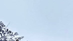 Parte de la formación de los niños de la Esperanza Elementary School es visitar y tomar clases en el hábitat de vida silvestre de la escuela.