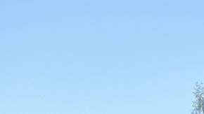 El Kia EV9 sienta a 7 pasajeros en tres líneas.