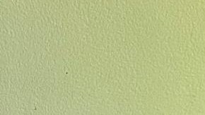 Paulina García, estudiante de cuarto grado.