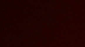 Los 156 graduados de secundaria que vivieron en hogares de crianza, se dirigen ahora a continuar su educación universitaria.