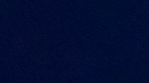 Gerardo Espinoza, entrenador mexicano.