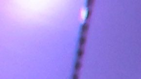 Guadalajara, Jalisco a 16 de Marzo de 2024. , durante el partido correspondiente a la jornada 12 del torneo Clausura 2024 de la Liga BBVA MX, entre las chivas rayadas de Guadalajara y las águilas del América, realizado en el estadio Akron. Foto: Imago7/ Juan Carlos Núñez Cubeyro.