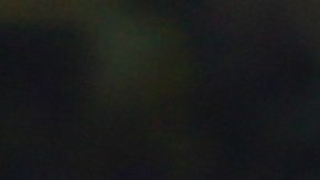 Alejandro Zendejas ha jugado más de 100 partidos en el Club América.