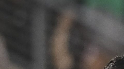 México viene de perder ante Uruguay y Brasil.