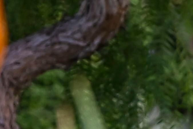 Santiago Giménez a la llegada de la Selección de México a la ciudad de San Diego para seguir con su preparación para participar en la Copa América 2024.