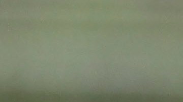 Jaime Lozano, director técnico durante el entrenamiento de la Selección de México previo al arranque de la Copa América 2024.