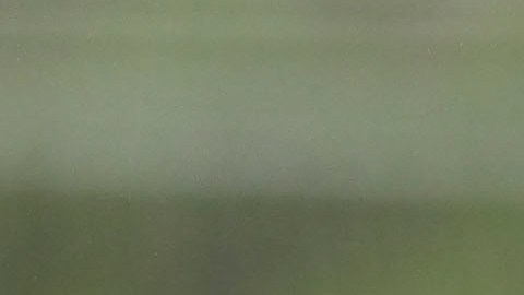 Jaime Lozano, director técnico durante el entrenamiento de la Selección de México previo al arranque de la Copa América 2024.