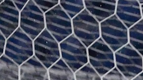 Ciudad de México, 29 de junio de 2024. , durante un partido amistoso internacional por la Copa Fundadores 2024, entre la Máquina Celeste del Cruz Azul y el América de Cali, celebrado en el estadio Ciudad de los Deportes. Foto: Imago7/Manlio Contreras