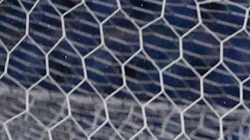 Ciudad de México, 29 de junio de 2024. , durante un partido amistoso internacional por la Copa Fundadores 2024, entre la Máquina Celeste del Cruz Azul y el América de Cali, celebrado en el estadio Ciudad de los Deportes. Foto: Imago7/Manlio Contreras