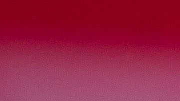 Tijuana, Baja California, 1 de marzo de 2019 durante el juego de la jornada 9 del torneo Clausura 2019 de la Liga Bancomer MX entre Xolos de Tijuana y Rojinegros del Atlas celebrado en el estadio Caliente. Foto: Imago7/ Xavier Hernandez