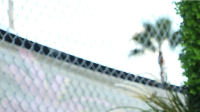 Giannina y Dalma Maradona, hijas de Diego Armando Maradona