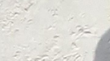 Maribel Guardia ofrece sus primeras declaraciones luego de la inesperada muerte de su hijo Julián Figueroa sin poder contener el llanto. La actriz estuvo acompañada en todo momento por su nuera Imelda Tuñón, quien también estaba visiblemente afectada/México, 11 de abril 2023.