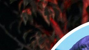 Olivia Collins hace frente a los comentarios de Niurka | Foto: Mezcalent