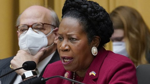 Sheila Jackson Lee, representante por Texas