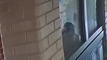 Agresión a estudiante en Michigan