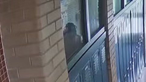 Agresión a estudiante en Michigan