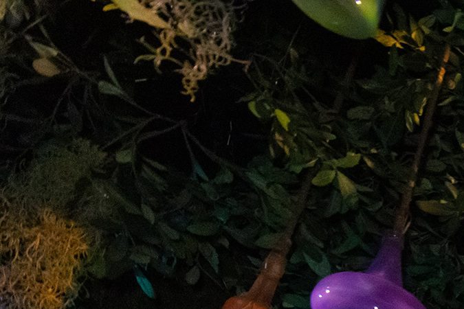 La nueva figura de Mama Odie Audio-Animatronics canta, cuenta y entusiasma a quienes recorren Tiana's Bayou Adventure.