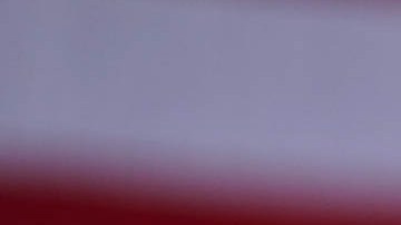 Donald Trump, expresidente estadounidense