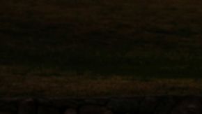 Volkswagen invierte en innovación asociación con Rivian para software de vehículos