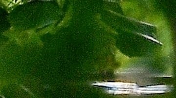 Eiza González y Guy Binns