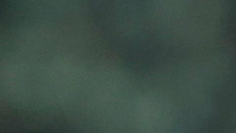 Con el regreso de Toni Kroos a la Selección de Alemania aumentó el favoritismo de los locales para la Eurocopa 2024.