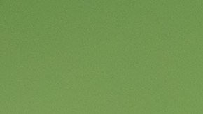 Las pequeñas empresas en EE.UU. continúan enfrentándose a los altos costos de los alquileres