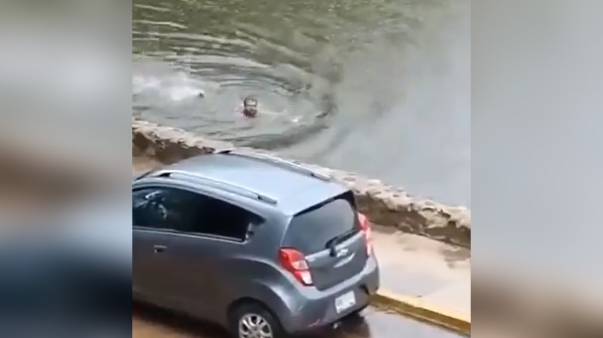 Dramático escape de un hombre perseguido por cocodrilos en Tabasco - La ...