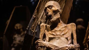 El asombroso origen de las más de 100 momias de Guanajuato que sobrevivieron gracias a unas condiciones muy particulares