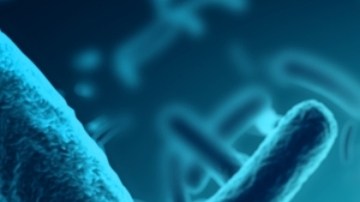 Japón informa aumento récord en infecciones bacterianas potencialmente mortales: de qué se trata