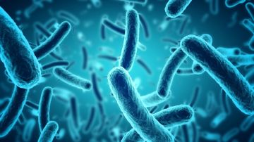 Japón informa aumento récord en infecciones bacterianas potencialmente mortales: de qué se trata
