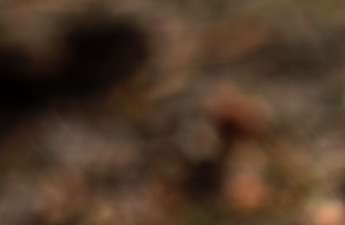 Búsqueda de monedas antiguas valiosas