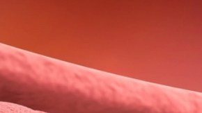 as estatinas, comúnmente usadas para reducir el colesterol, podrían prevenir el cáncer al inhibir vías inflamatorias específicas.