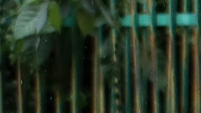 Migrantes desafían la alerta por lluvias y ciclones para cruzar la frontera sur de México