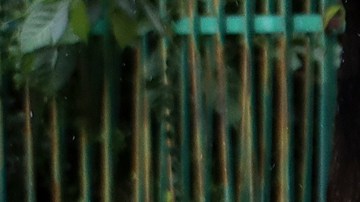 Migrantes desafían la alerta por lluvias y ciclones para cruzar la frontera sur de México