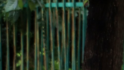 Migrantes desafían la alerta por lluvias y ciclones para cruzar la frontera sur de México